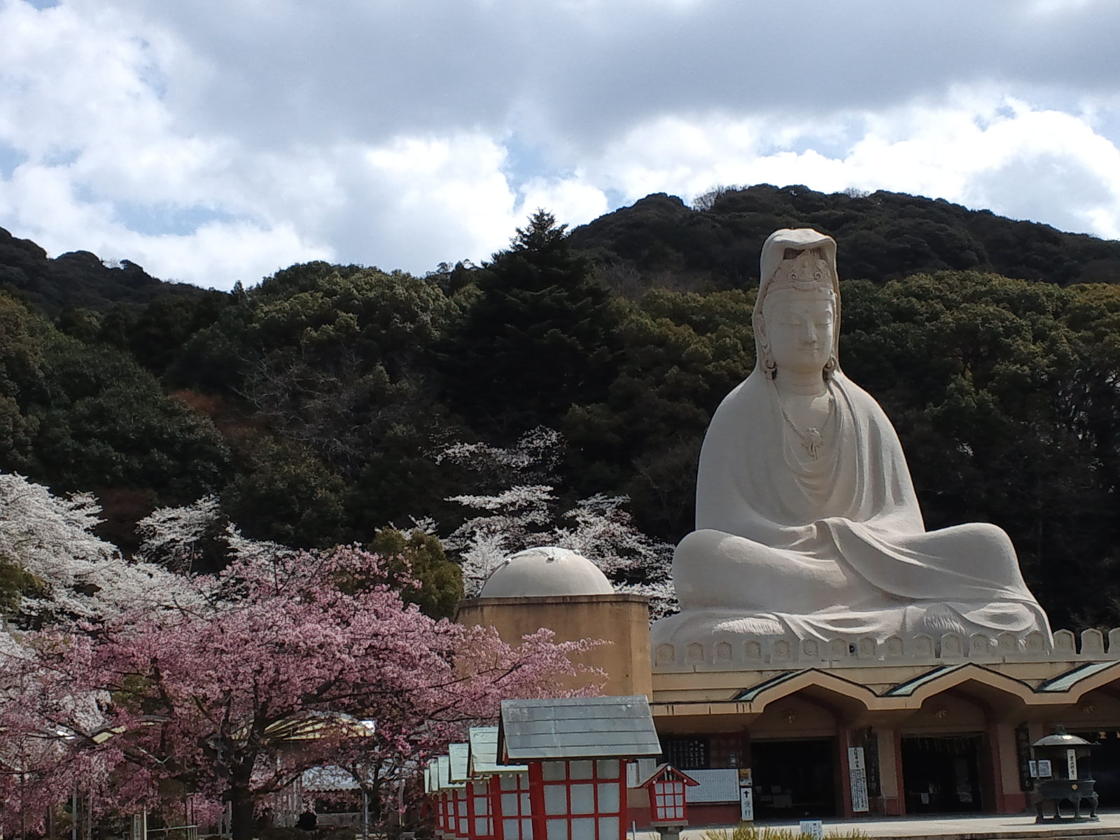 【京都/ふぐ/柳家/くえ/はも】平成24年4月桜満開の京都霊山観音京都府ふぐ組合供養祭