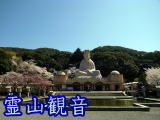春の京都は桜で満開東山霊山観音画像