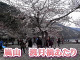 春・桜・観光客・渡月橋