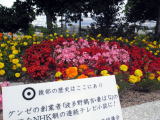 はも・すし・お手頃価格・綾部グンゼ・バラ園